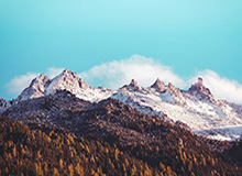 乐鱼体育官网：在选择与热情之间，遇见更精彩的自己